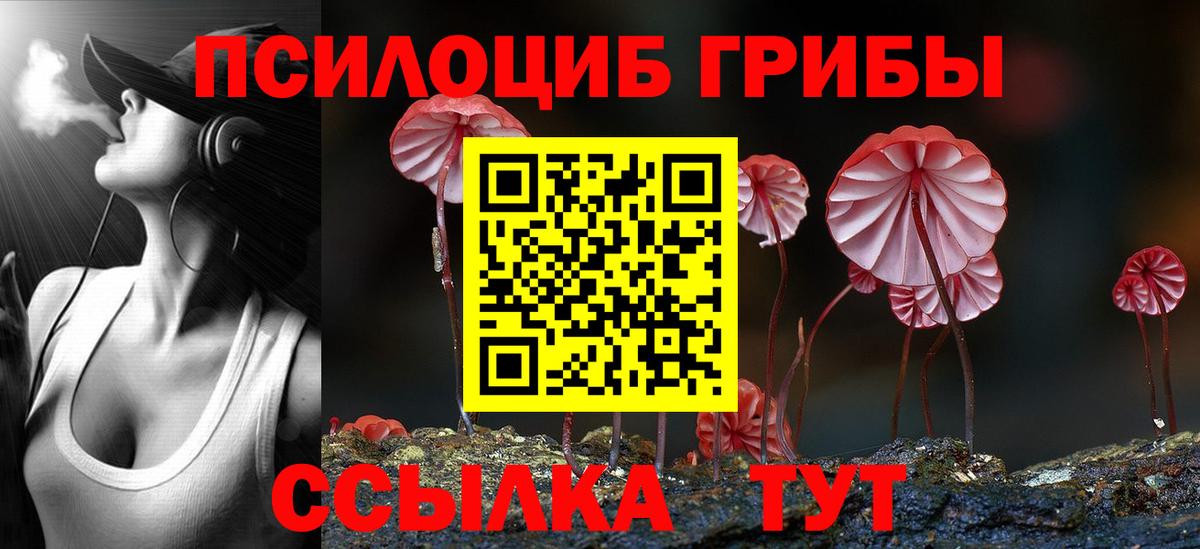 закладки  Псилоцибиновые грибы мухоморы  Вход с VPN  Железногорск  Псилоцибиновые грибы Psilocybe 